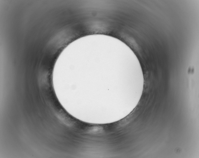 X0000092250162200709141012