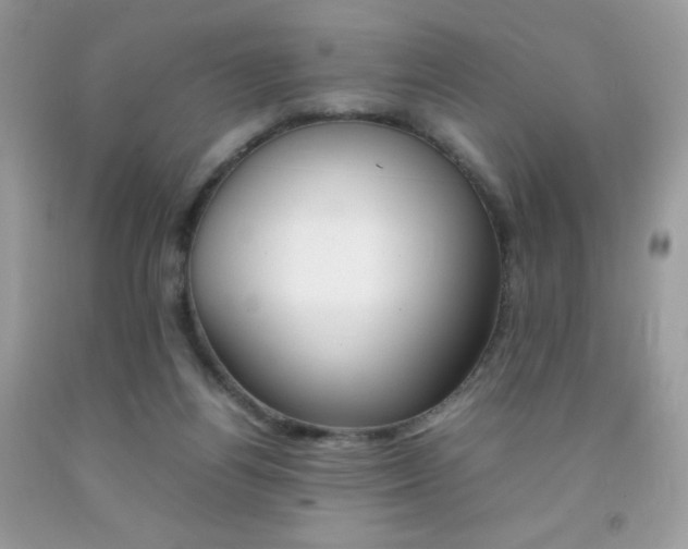 X0000092250164200709141012