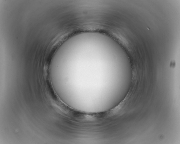 X0000092250166200709141013