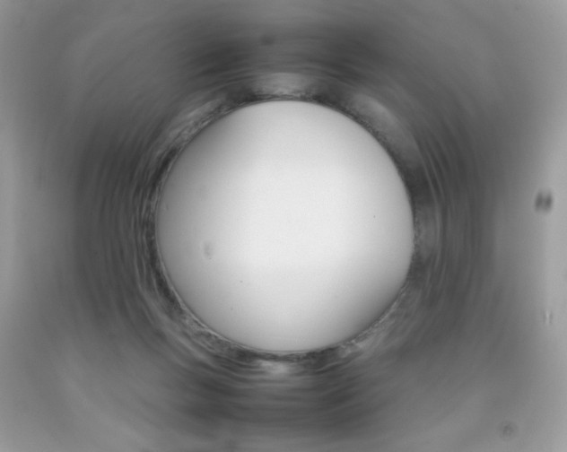 X0000092250167200709141013