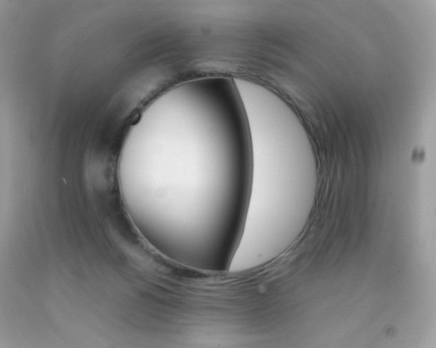 X0000092250168200709141013