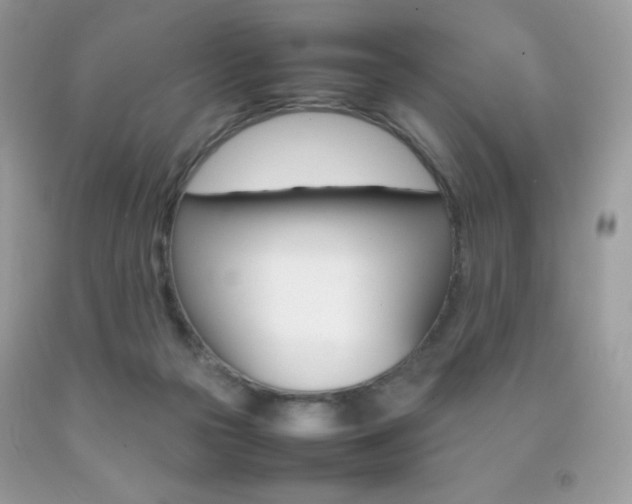 X0000092250169200709141013