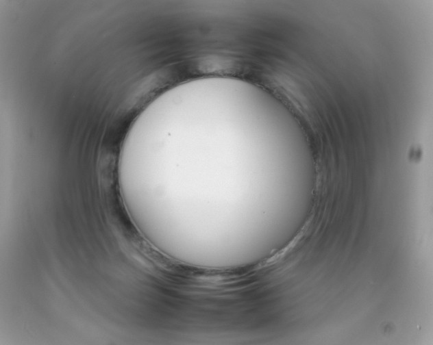 X0000092250171200709141013