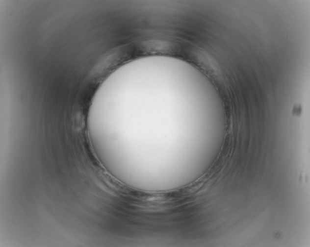 X0000092250173200709141013