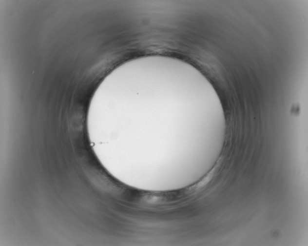 X0000092250174200709141013