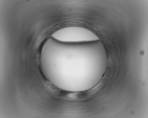 X0000092250178200709141013