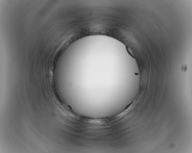 X0000092250183200709141013
