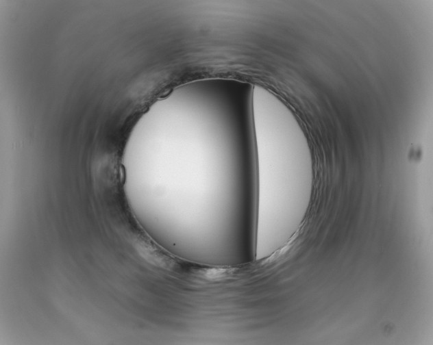 X0000092250184200709141013
