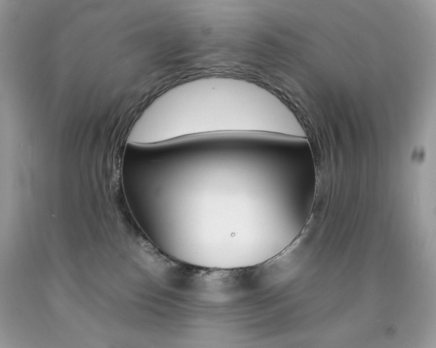 X0000092250186200709141013