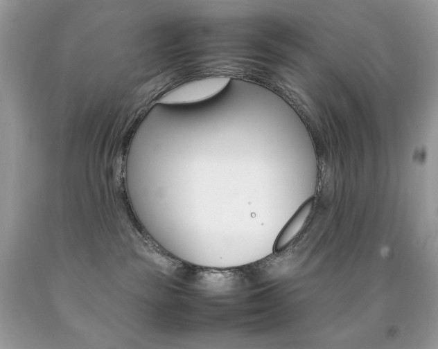 X0000092250189200709141013
