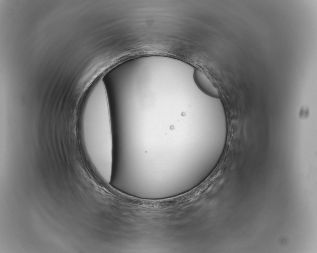 X0000092250194200709141012