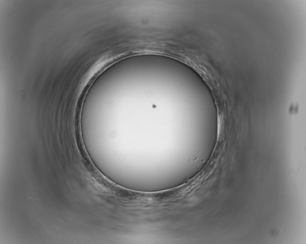 X0000092250195200709141012