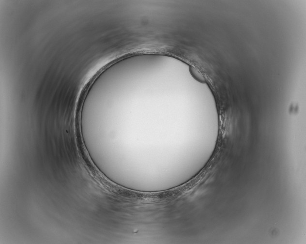 X0000092250196200709141012