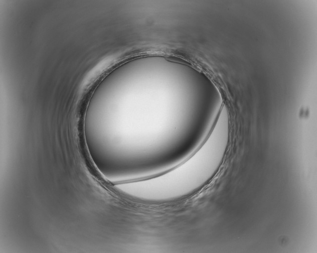X0000092250197200709141012