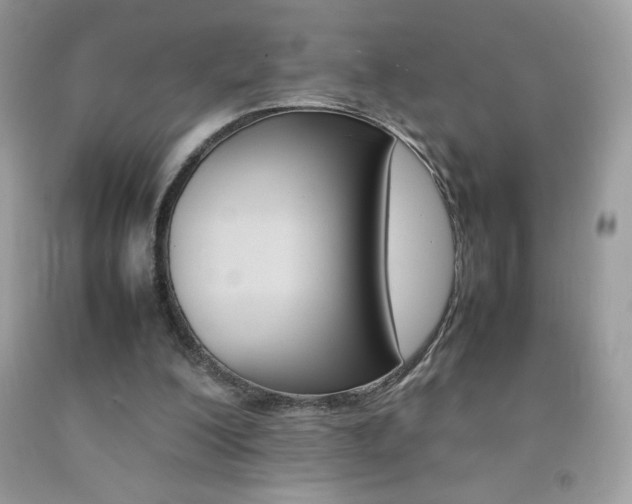X0000092250200200709141012