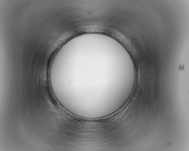X0000092250202200709141012