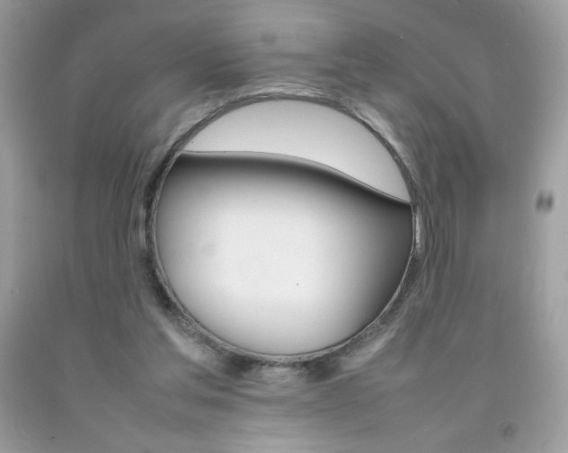 X0000092250205200709141012