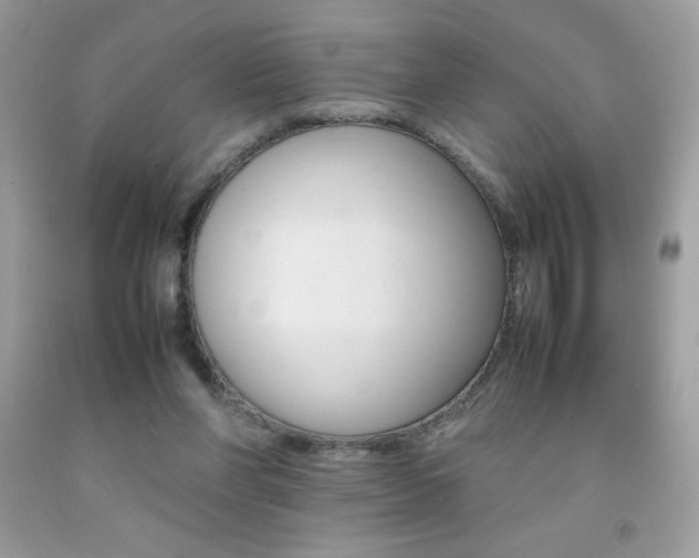 X0000092250206200709141012