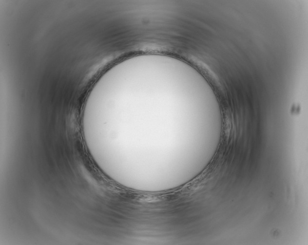 X0000092250208200709141012