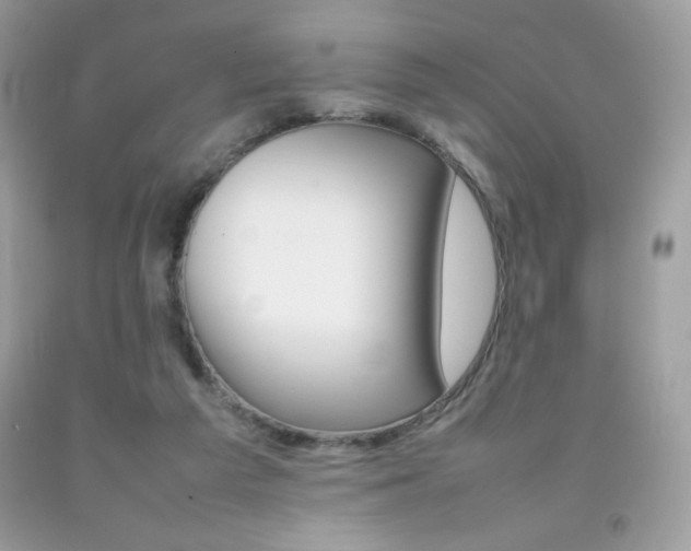 X0000092250209200709141012