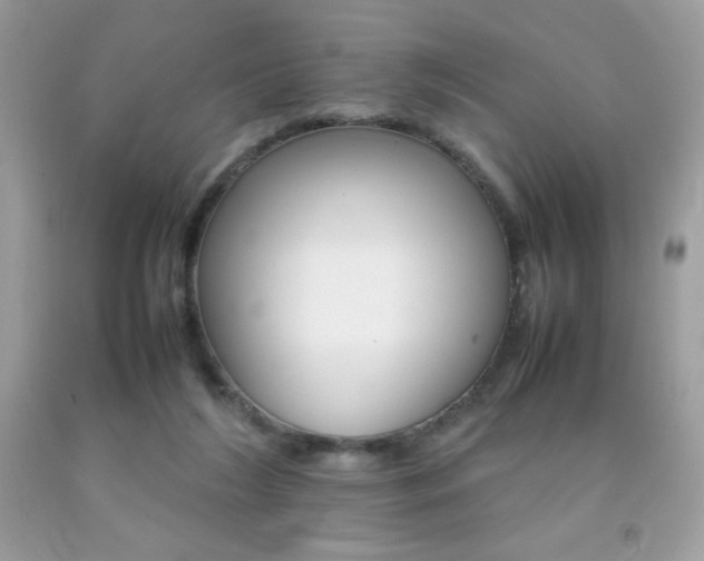X0000092250212200709141012