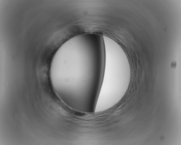 X0000092250219200709141012