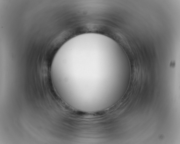 X0000092250220200709141012