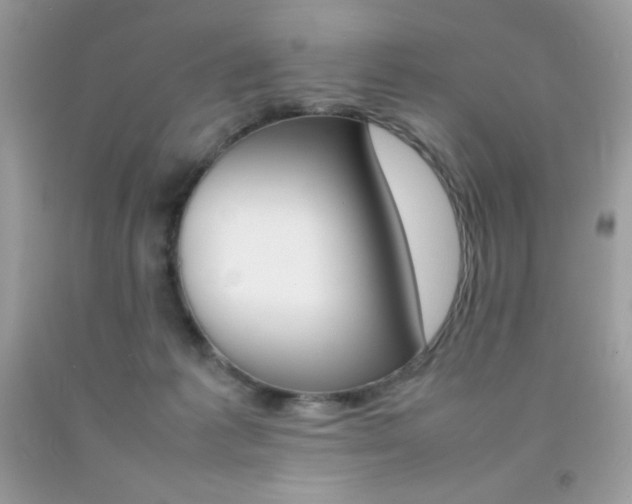 X0000092250221200709141012