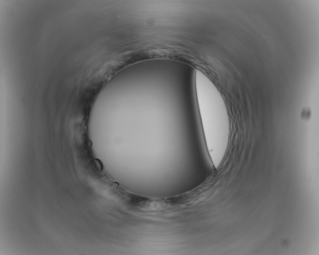 X0000092250223200709141012