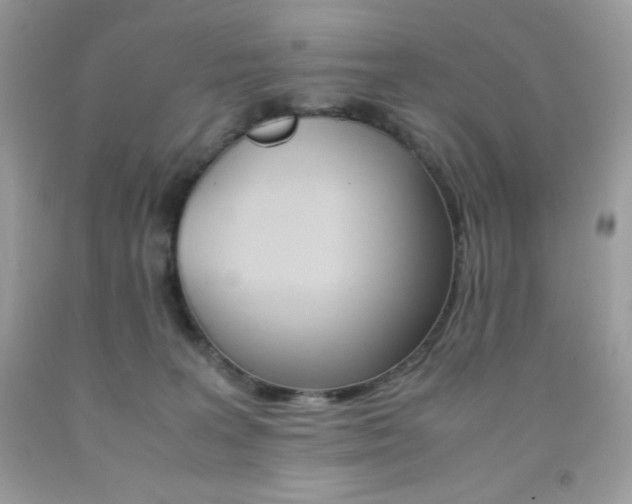 X0000092250227200709141012