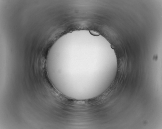 X0000092250230200709141012