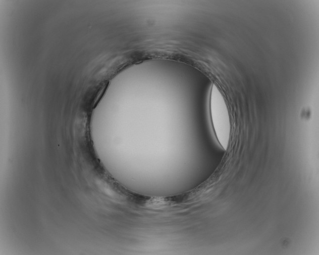 X0000092250231200709141012