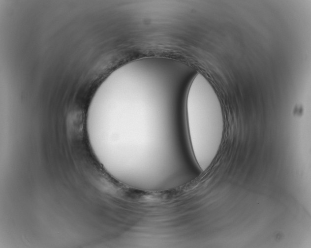 X0000092250232200709141012