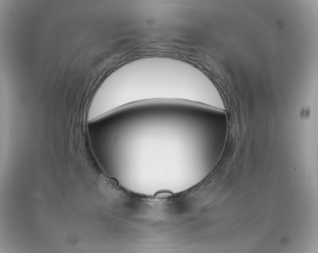 X0000092250233200709141012
