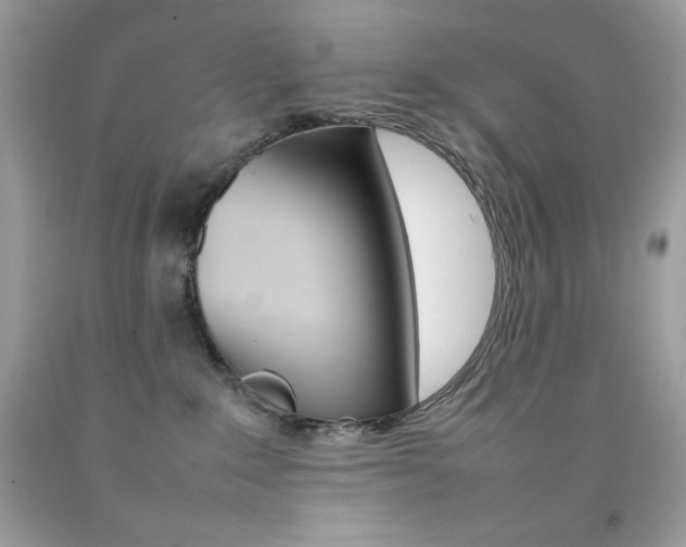X0000092250235200709141012