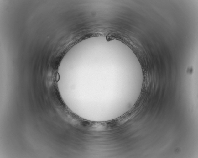 X0000092250236200709141012