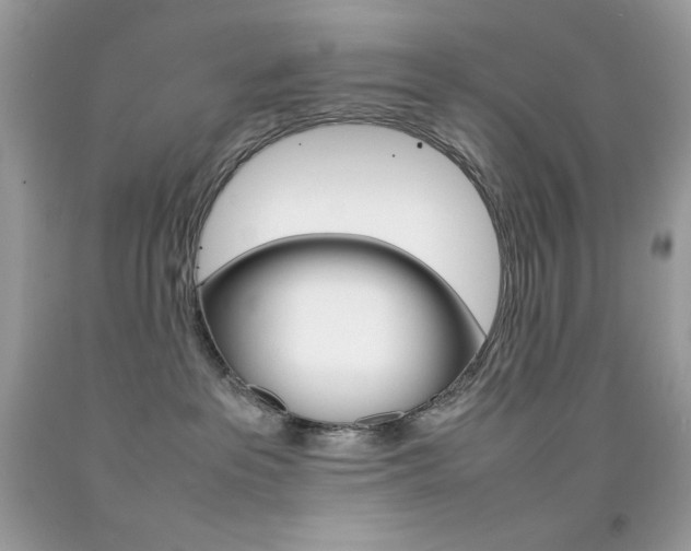 X0000092250237200709141012