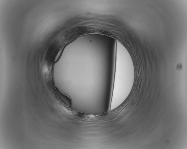 X0000092250239200709141012