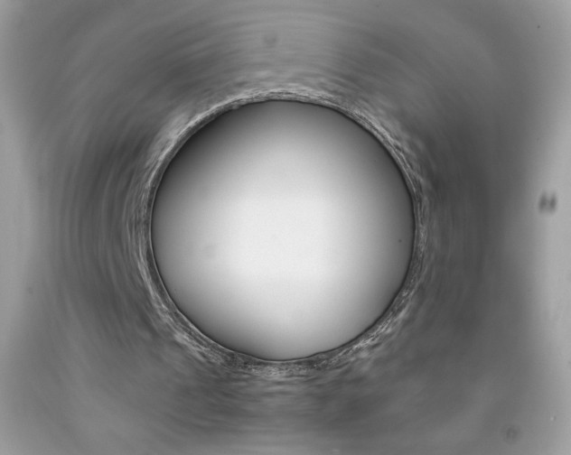 X0000092250241200709141011