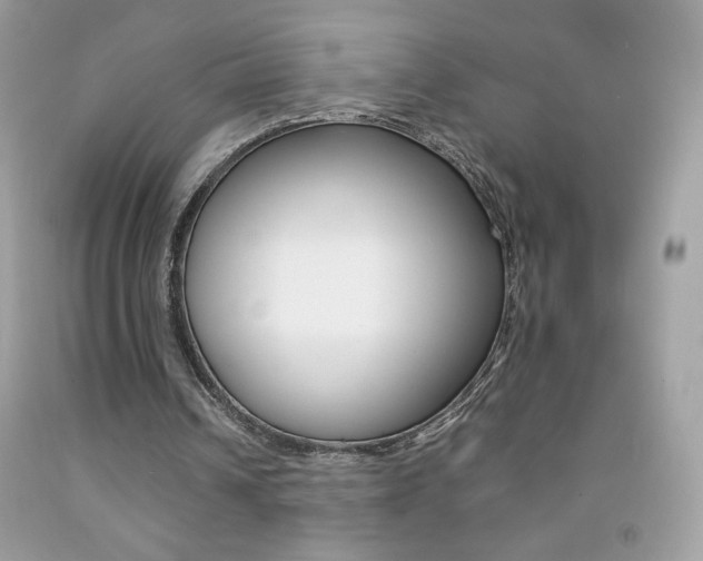 X0000092250242200709141011