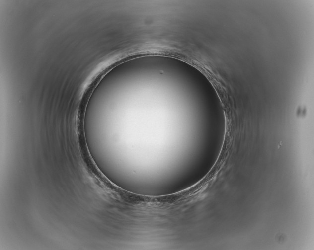 X0000092250244200709141011