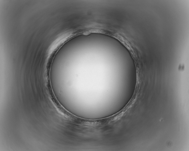 X0000092250245200709141011