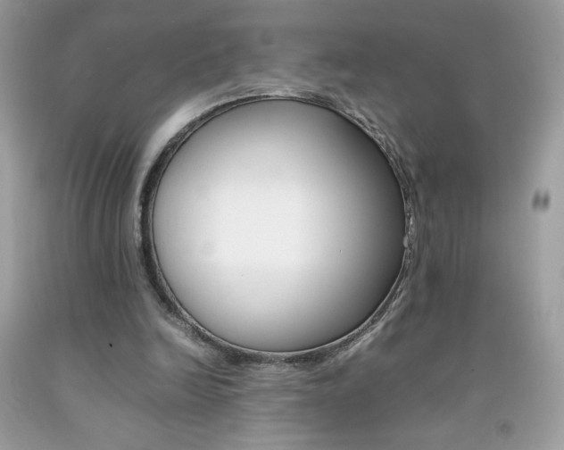 X0000092250246200709141011