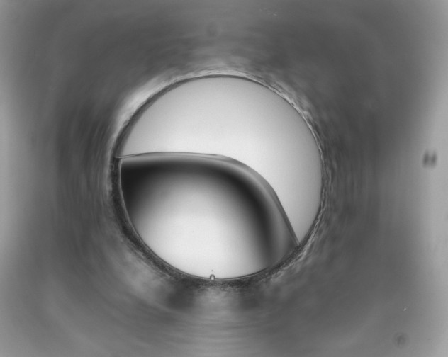 X0000092250248200709141011