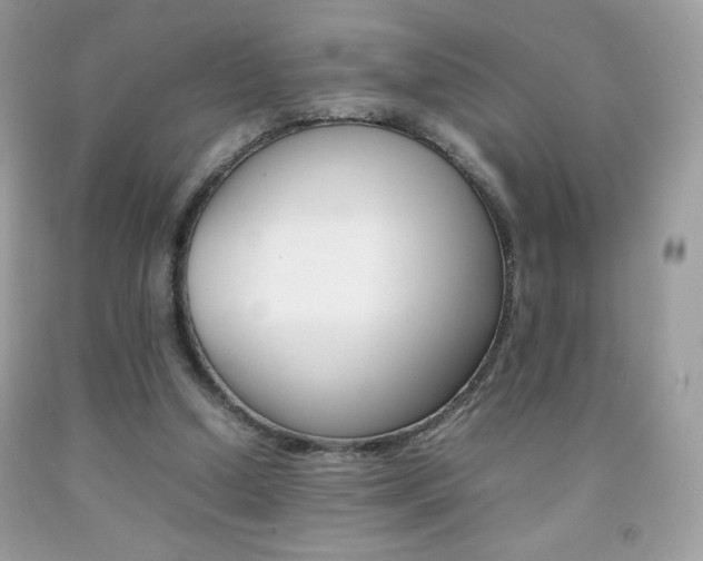 X0000092250250200709141011
