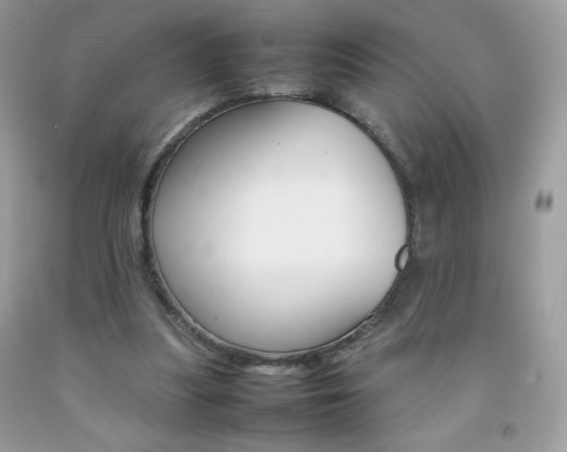 X0000092250251200709141011