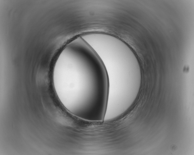 X0000092250252200709141011