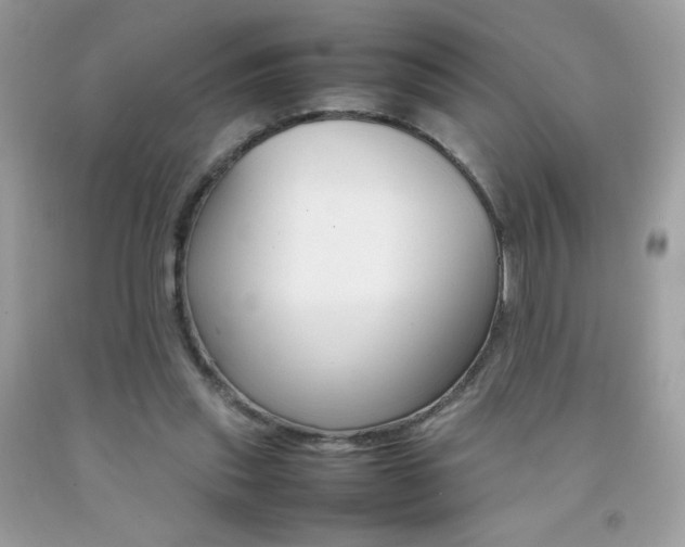 X0000092250253200709141011