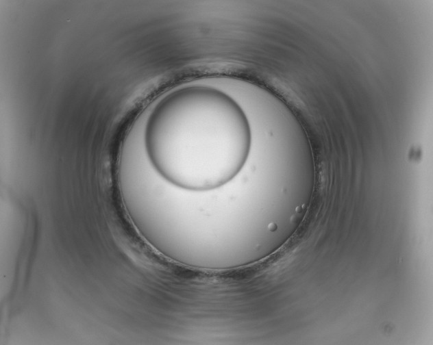 X0000092250254200709141011