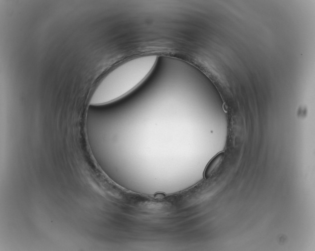 X0000092250255200709141011
